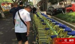 单车爆料视频大全最新,最新热点一网打尽